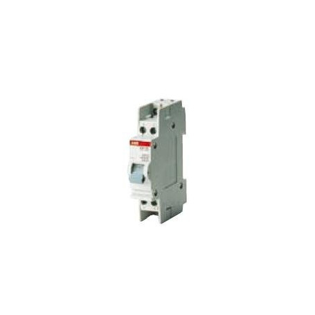 INTERRUPTEUR 2 POLES - E202 80A GRIS