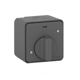 INTERRUPTEUR TEMPORISE MÉCANIQUE - EN SAILLIE - GRIS INTERRUPTEUR TEMPORISE MÉCANIQUE - EN SAILLIE - GRIS