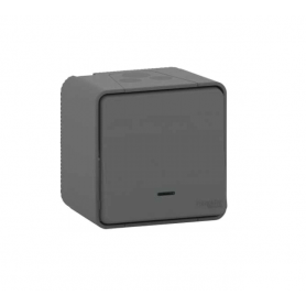 BOUTON POUSSOIR LUMINEUX LED - IK08 - GRIS